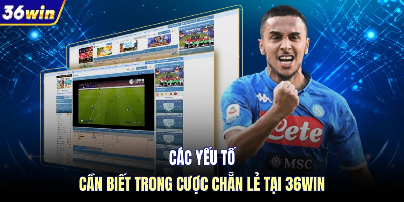 Các yếu tố cần biết trong cược chẵn lẻ tại 36WIN