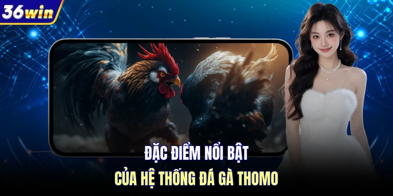 Đặc điểm nổi bật của hệ thống đá gà thomo