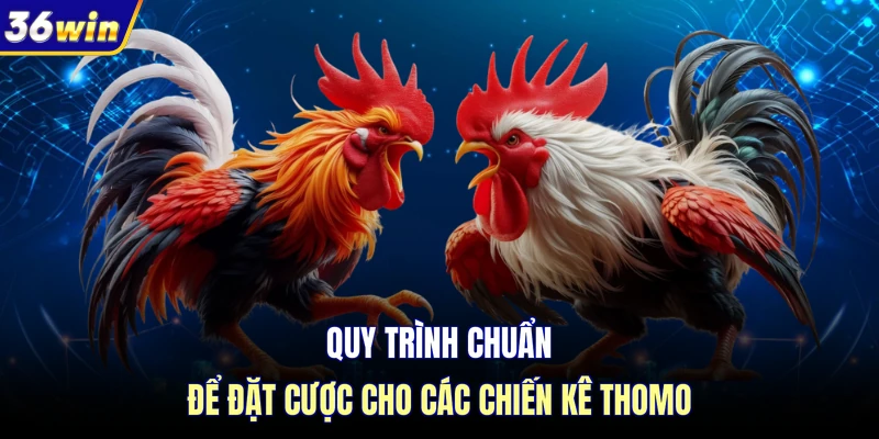 Quy trình chuẩn để đặt cược cho các chiến kê thomo