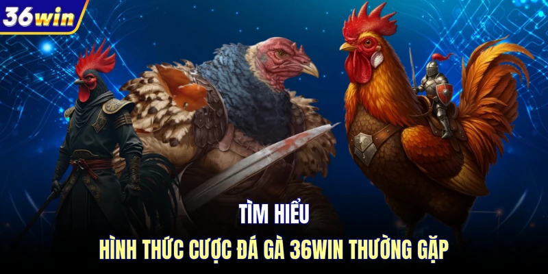 Tìm hiểu hình thức cược đá gà 36WIN thường gặp