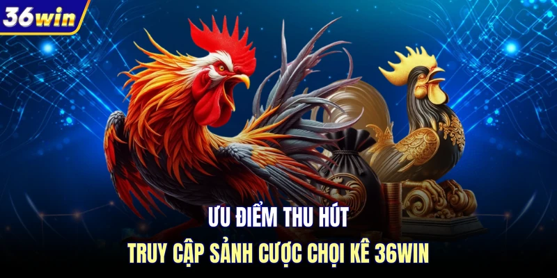 Ưu điểm thu hút truy cập sảnh cược chọi kê 36WIN